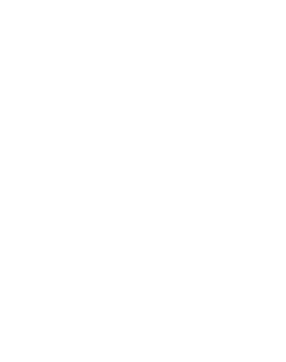 Balta Securitizadora de Créditos